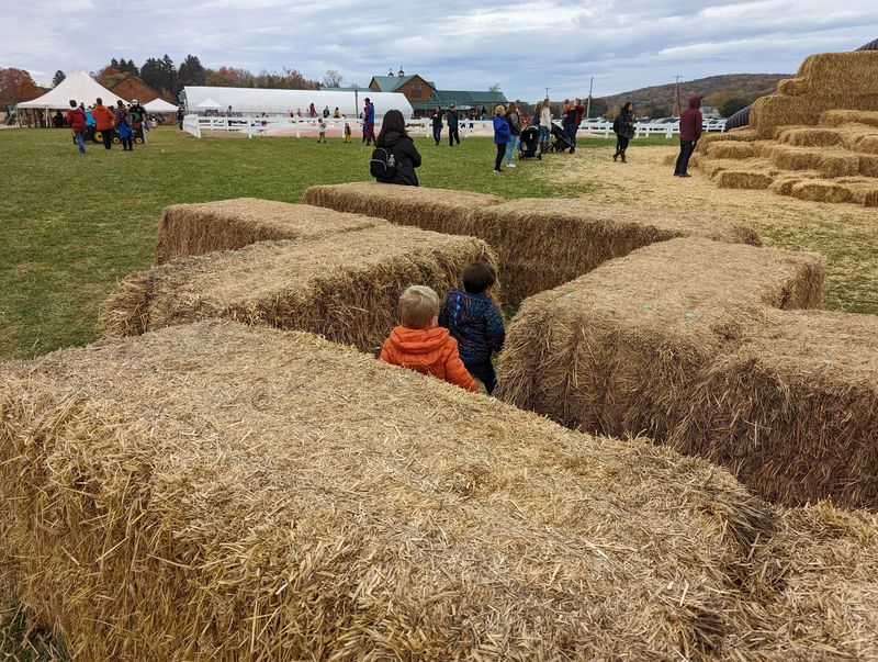 Hay Slides, Cow Trains And The Bounce Pillow Hay Slides, Cow Trains And The Bounce Pillow
