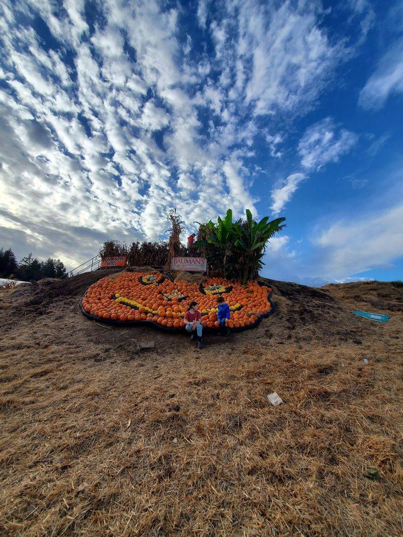 Hayrides Roll Out Toward The Fields