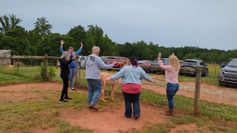 Herding Practice You Never Knew You Wanted Herding Practice You Never Knew You Wanted