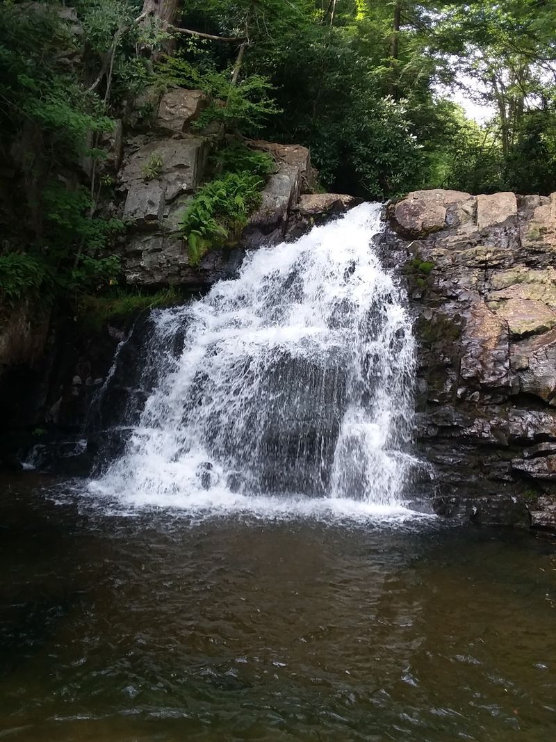 Hidden Water, Sunbathing Snakes, and Other Surprises Hidden Water, Sunbathing Snakes, and Other Surprises