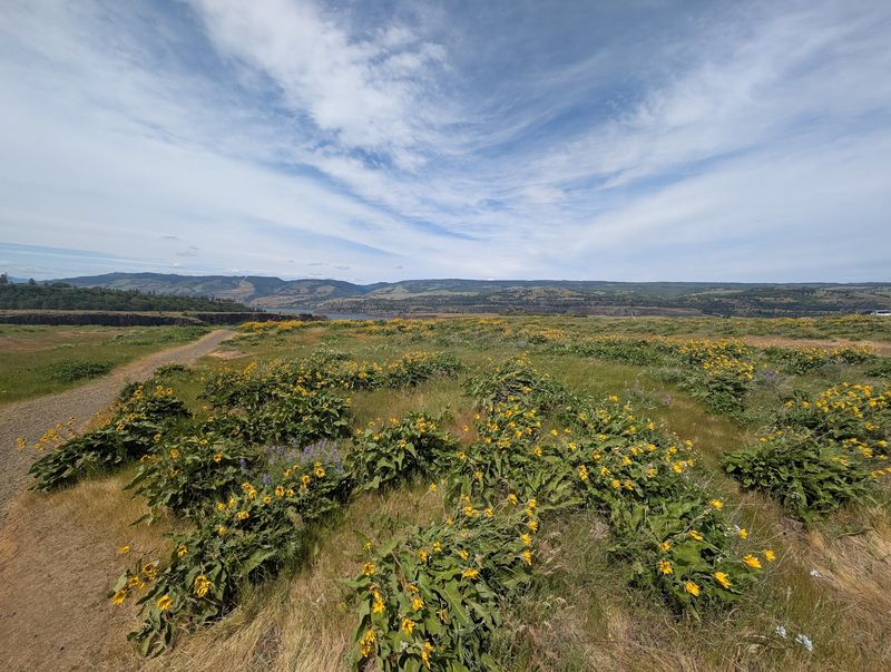 Hiking Here With Kids Without the Meltdown Hiking Here With Kids Without the Meltdown