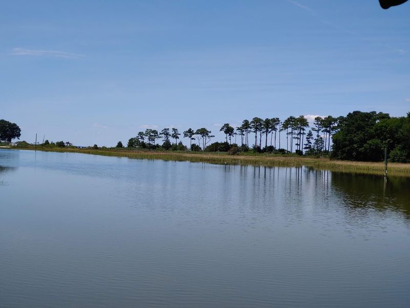 Hoffler Creek Wildlife Preserve, Portsmouth, Virginia Hoffler Creek Wildlife Preserve, Portsmouth, Virginia