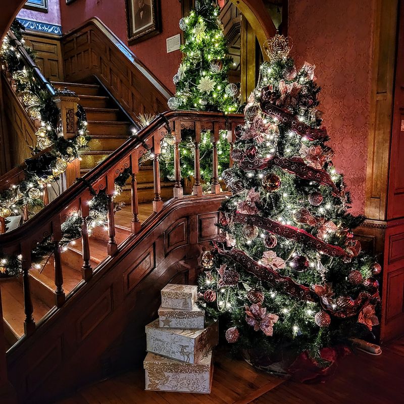 Holiday Magic and Other Reasons to Come Back