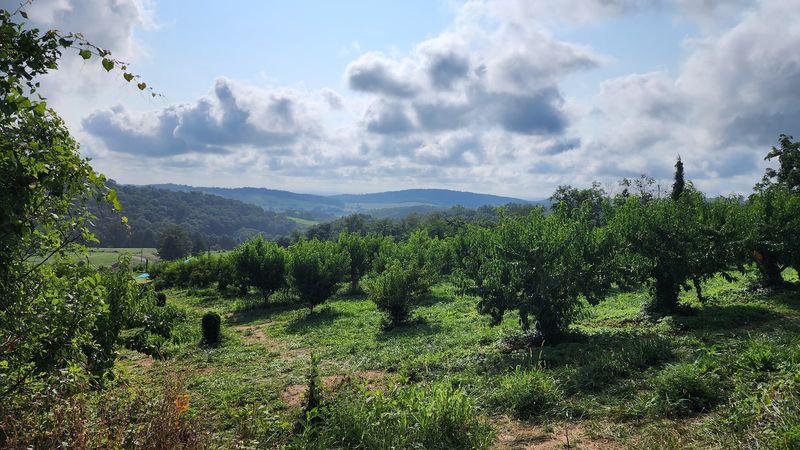 Hollin Farms Turns Delaplane Into A Harvest Playground Hollin Farms Turns Delaplane Into A Harvest Playground