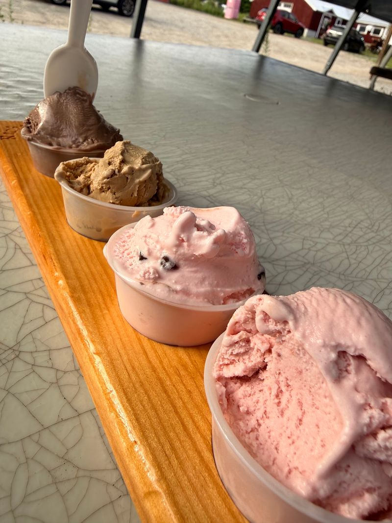 Homemade Ice Cream Steals the Spotlight