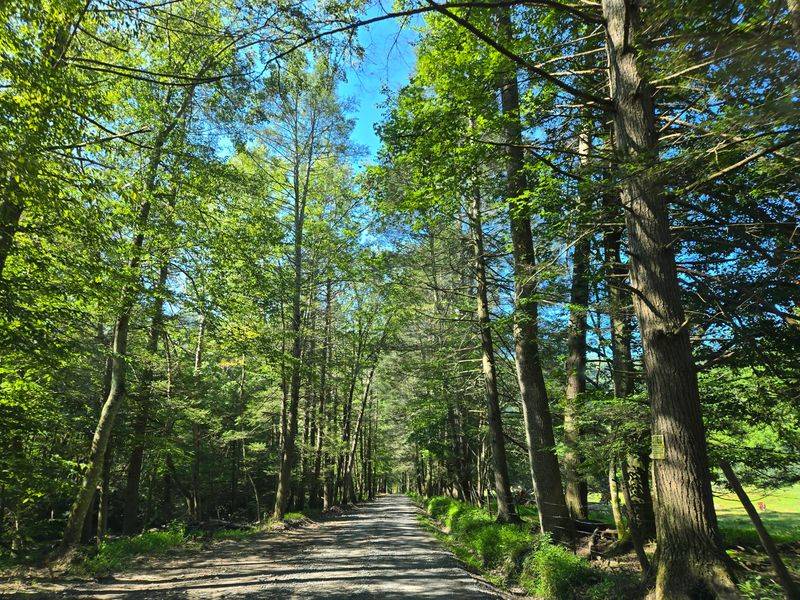 Honest Talk About Those Mountain Roads