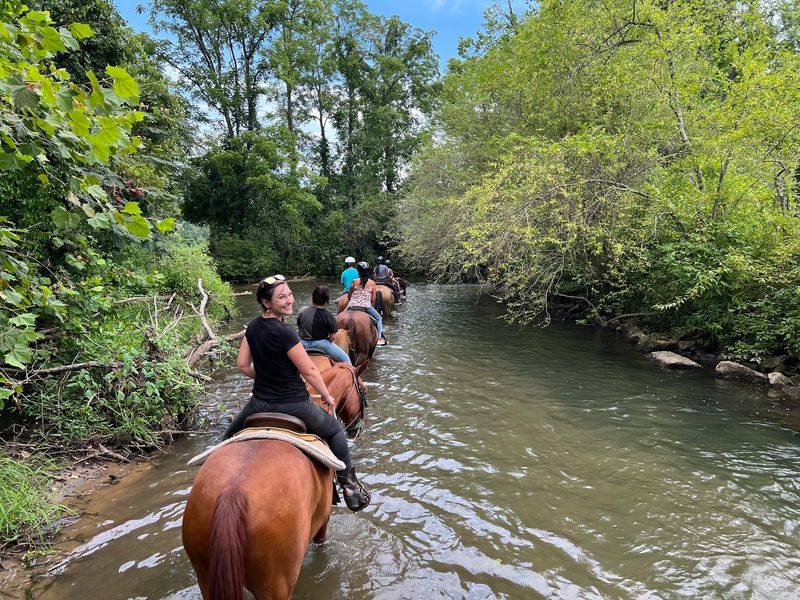 Horses, a Petting Farm, and Reasons to Stay Longer