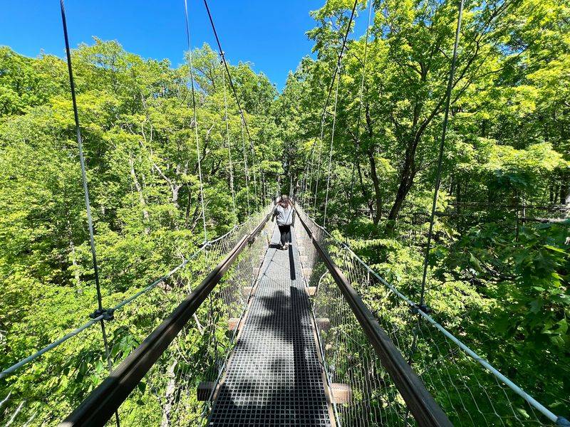 Hours, Admission, and Membership Deals