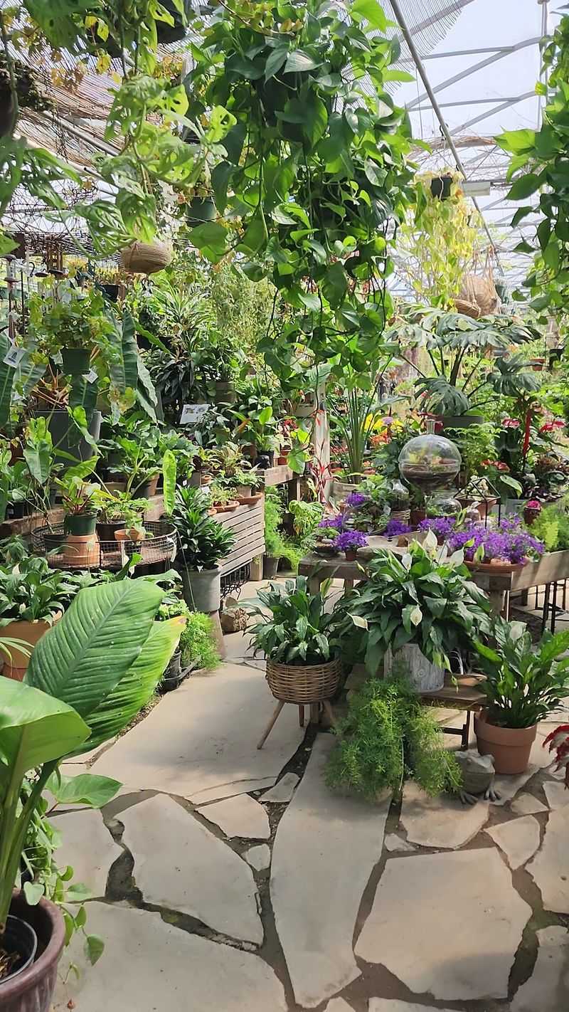 Houseplant Shelves That Keep Changing
