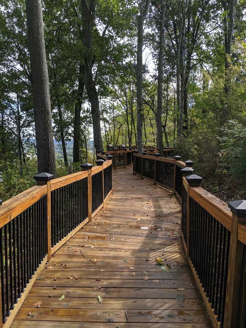 How A Forgotten Hill Became A Park Again How A Forgotten Hill Became A Park Again