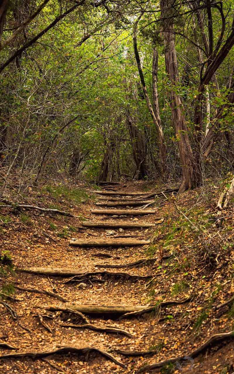 How A Small Park Grew To 399 Acres