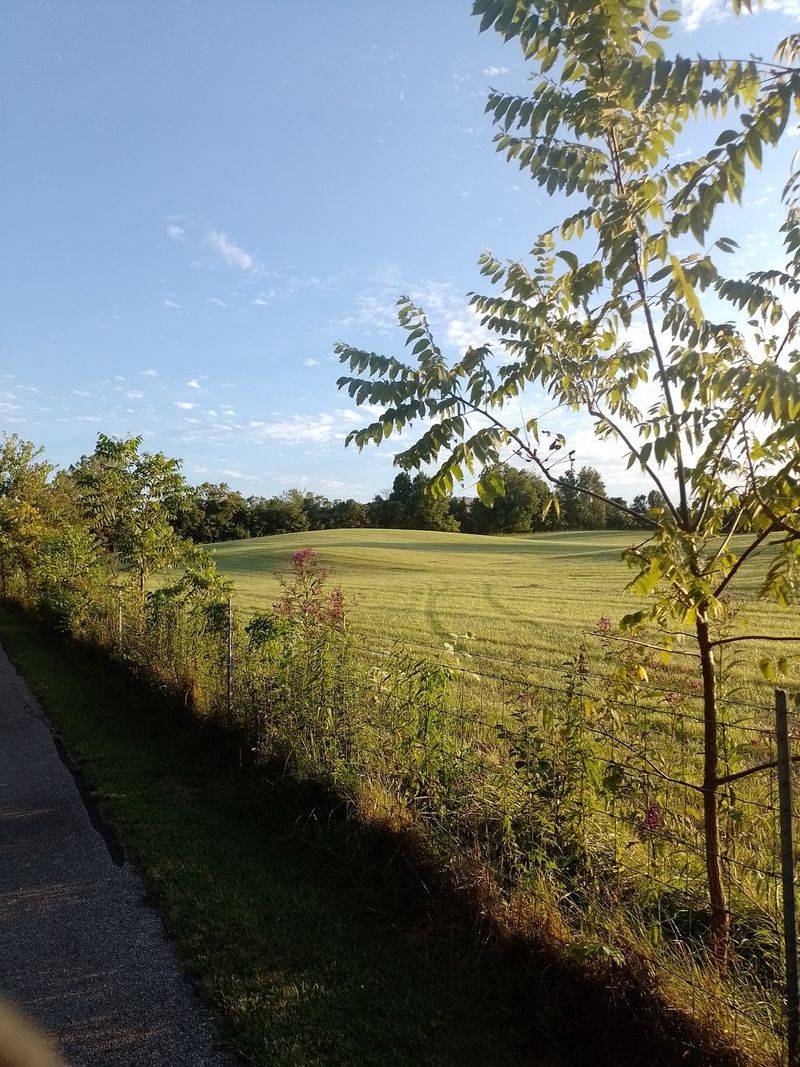 How One Farm Feeds a Whole Family of Local Businesses