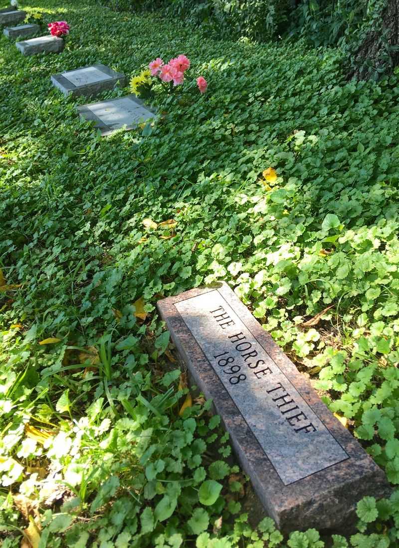 How The Graves Ended Up Guarding The Trail How The Graves Ended Up Guarding The Trail