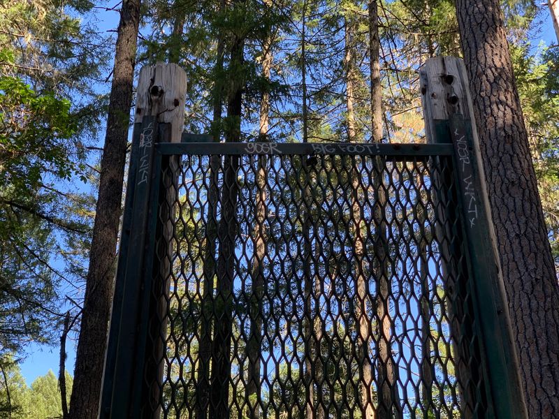 How a Sasquatch Trap Got Built on Collings Mountain