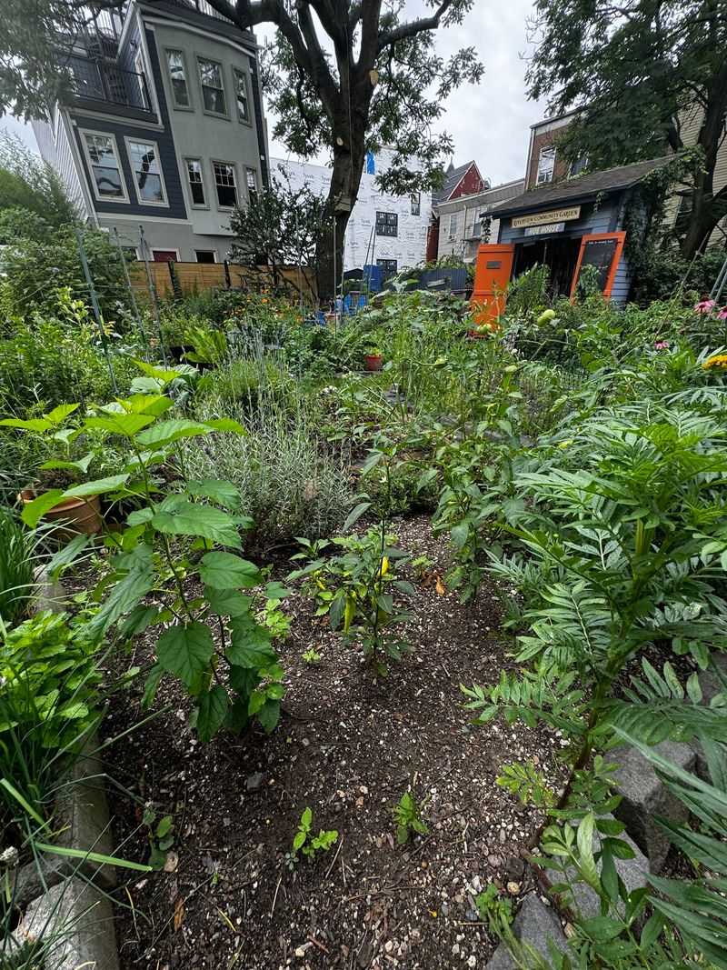 Hudson County Proves Even Urban Ground Gets Thirsty Hudson County Proves Even Urban Ground Gets Thirsty