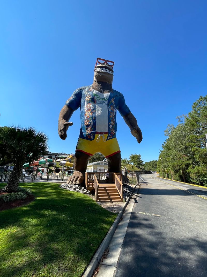 Hugh Mongous the Gorilla, VA