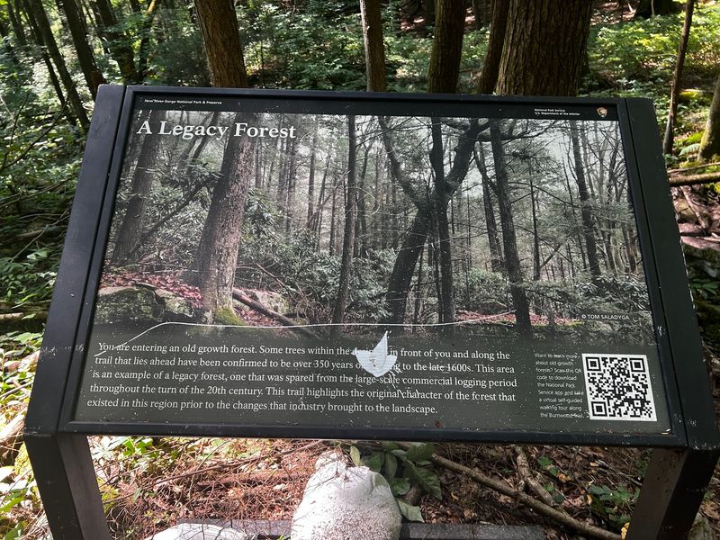 Informational Signs Along the Path Informational Signs Along the Path