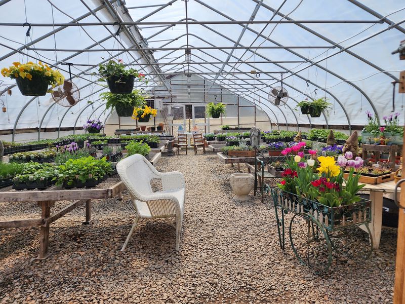 Inside The Greenhouse Where The Flavor Starts