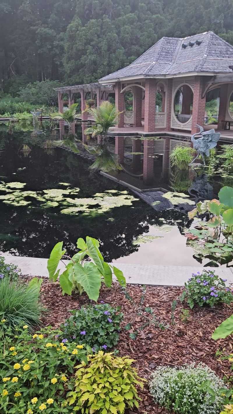 Inside the Butterfly House, Where Wings Land on Shoulders Inside the Butterfly House, Where Wings Land on Shoulders