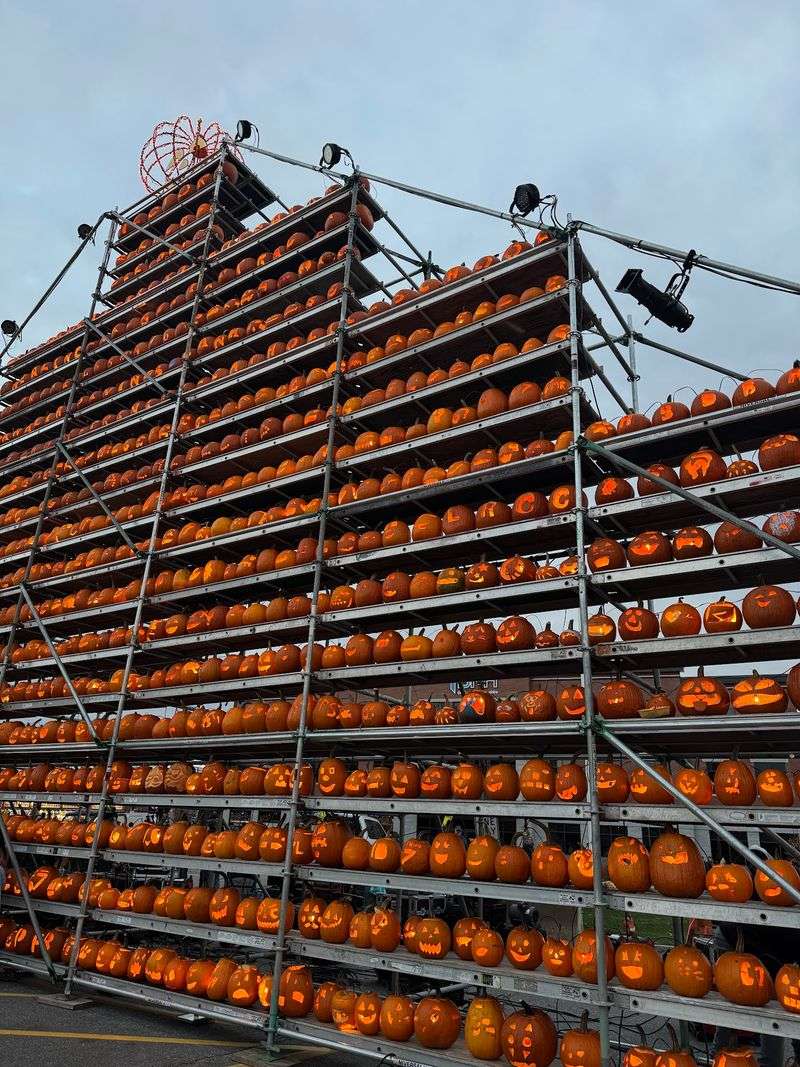 Jack-o'-Lantern Towers Reach For The Sky Jack-o'-Lantern Towers Reach For The Sky