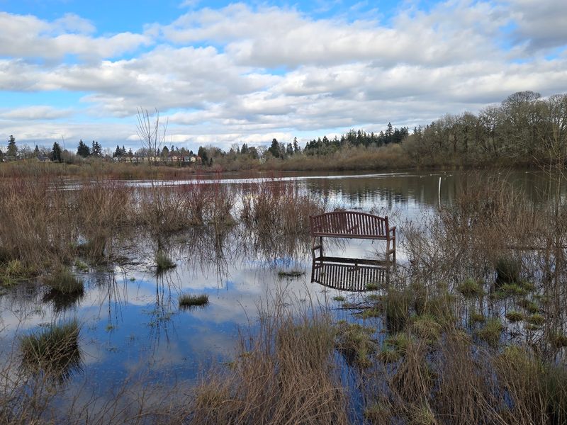 Jackson Bottom Wetlands, Hillsboro, OR