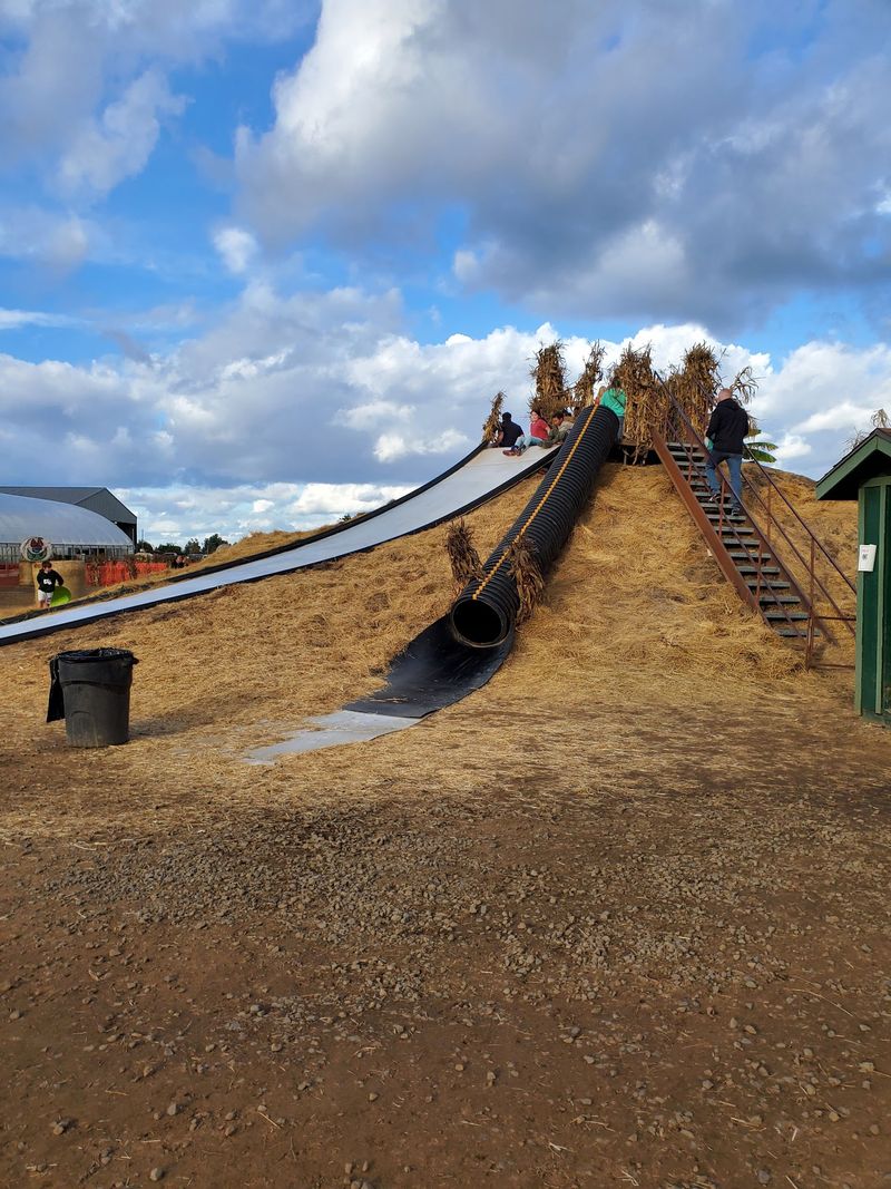 Jumping Pillows And Play Zones That Wear Kids Out