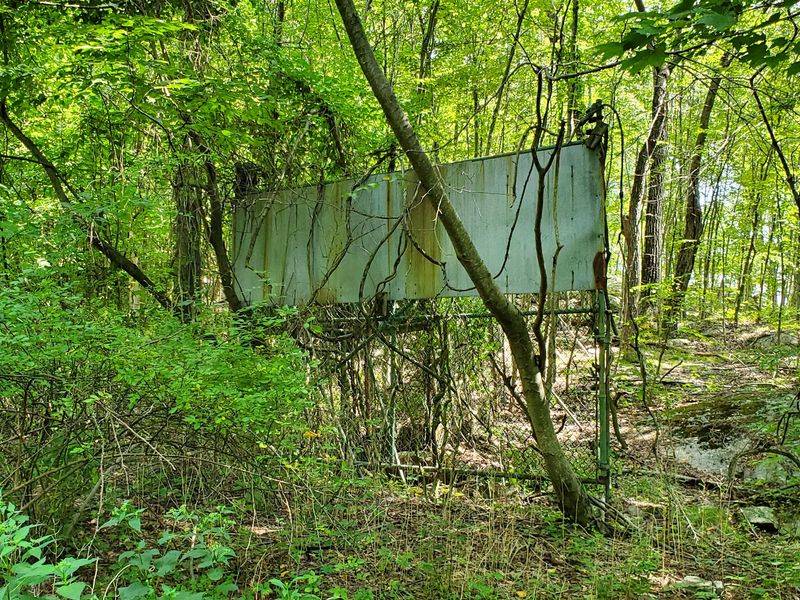 Jungle Habitat Trail Jungle Habitat Trail