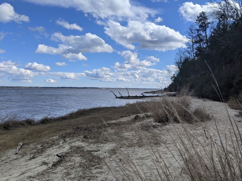 Kayaking and Paddleboarding the York River Estuary
