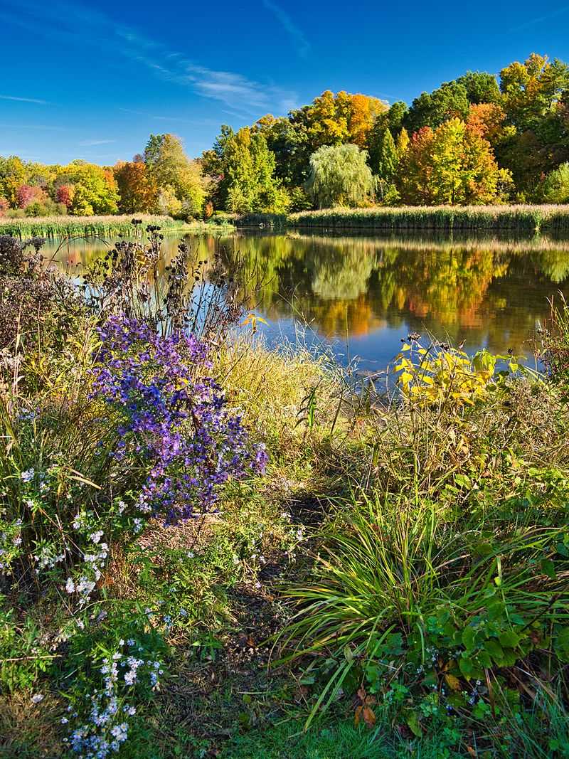 Kitchell Pond And Its Quiet Water Views