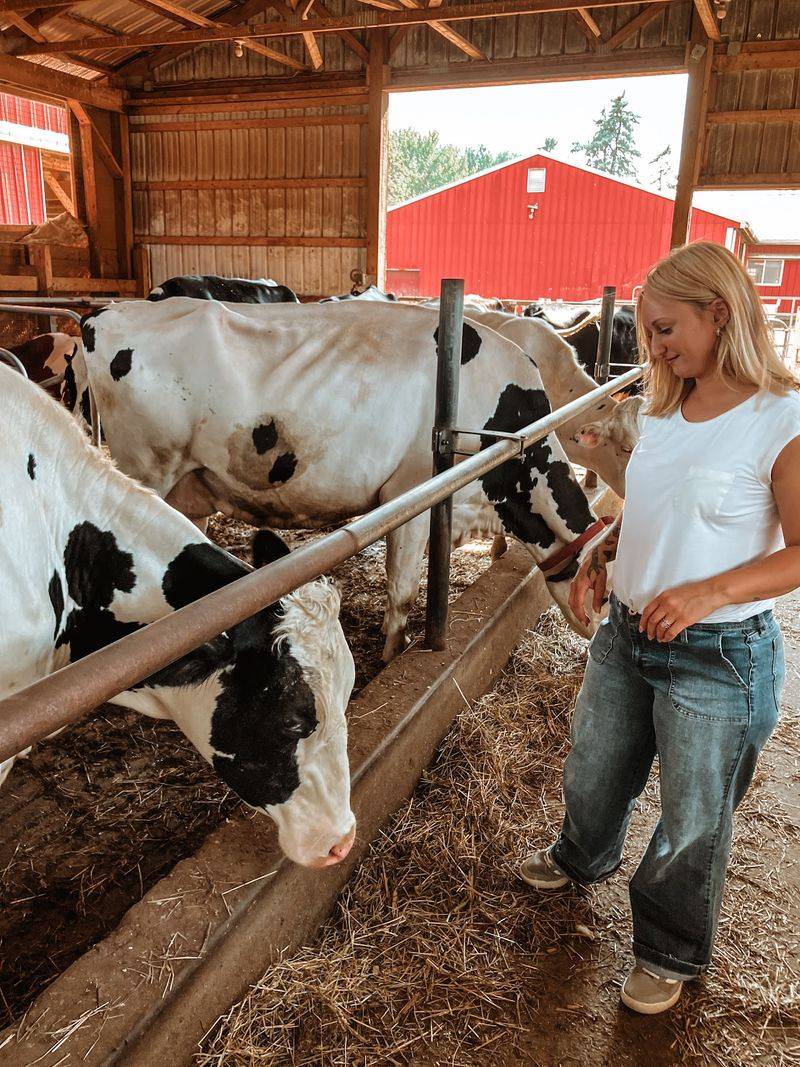 Klein Farms Dairy & Creamery, Easton, PA Klein Farms Dairy & Creamery, Easton, PA
