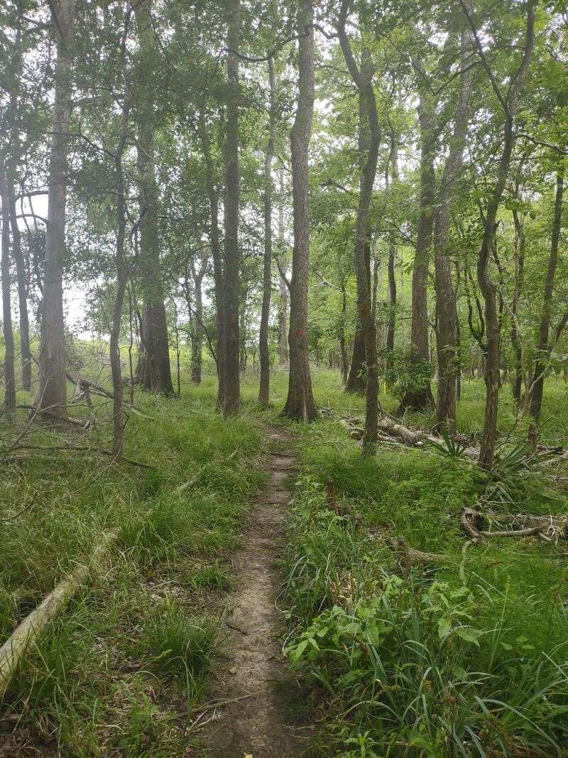 Knobby Knees and Great Egret's Ridge