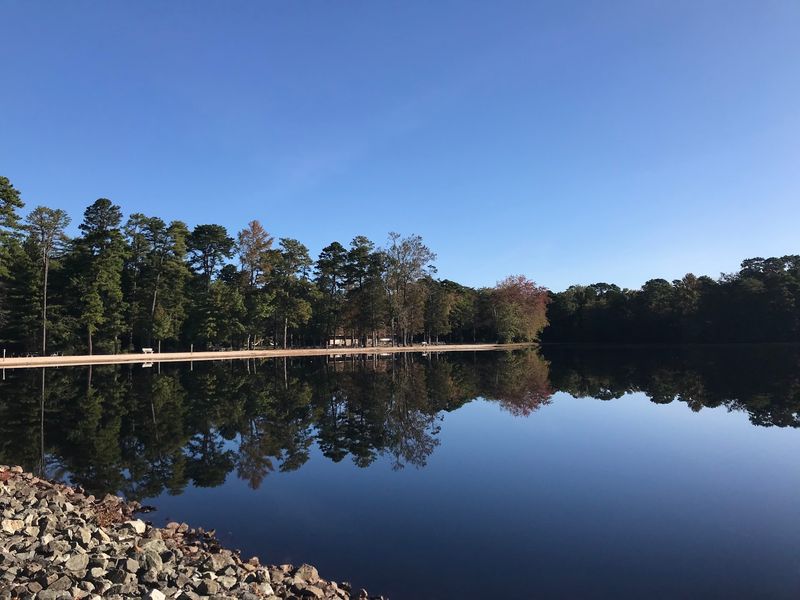 Lake Nummy And Its Cranberry Bog Past