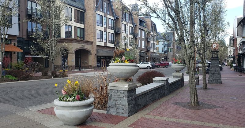 Lake View Village and its walkable little lanes Lake View Village and its walkable little lanes
