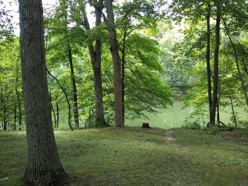 Lakes, Gold Pans, and a Night Under the Hardwoods Lakes, Gold Pans, and a Night Under the Hardwoods