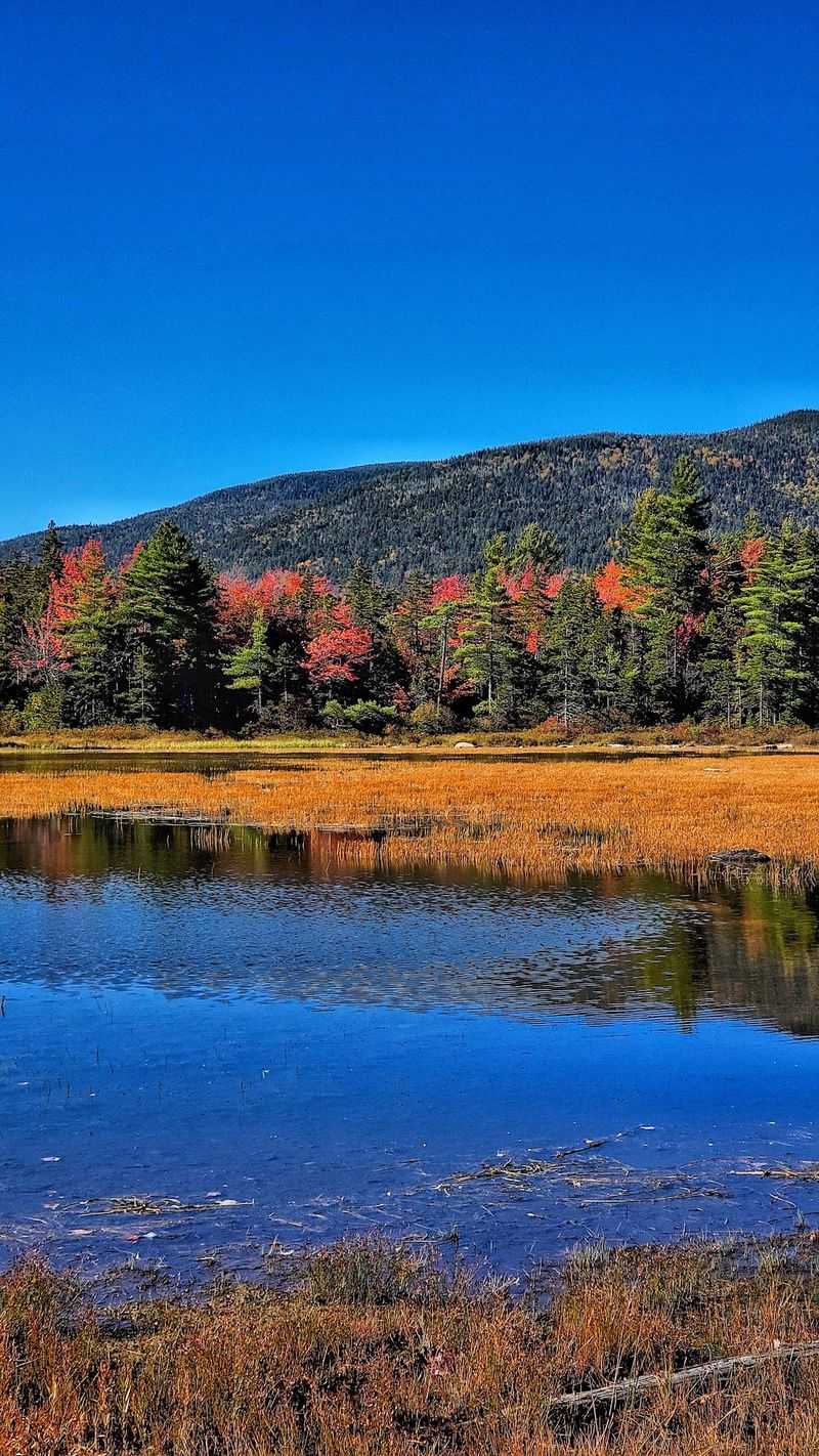 Leaf Season Turns the Valley Loud Leaf Season Turns the Valley Loud