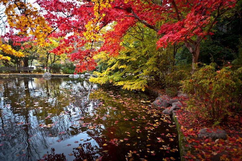 Lithia Park, Ashland, OR