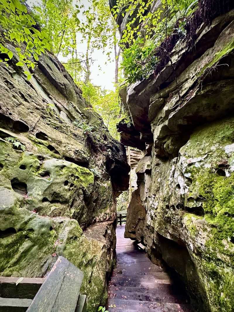 Little Caves and Secret Passages Little Caves and Secret Passages