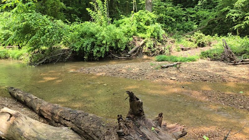 Little Details Along the Creeks Little Details Along the Creeks