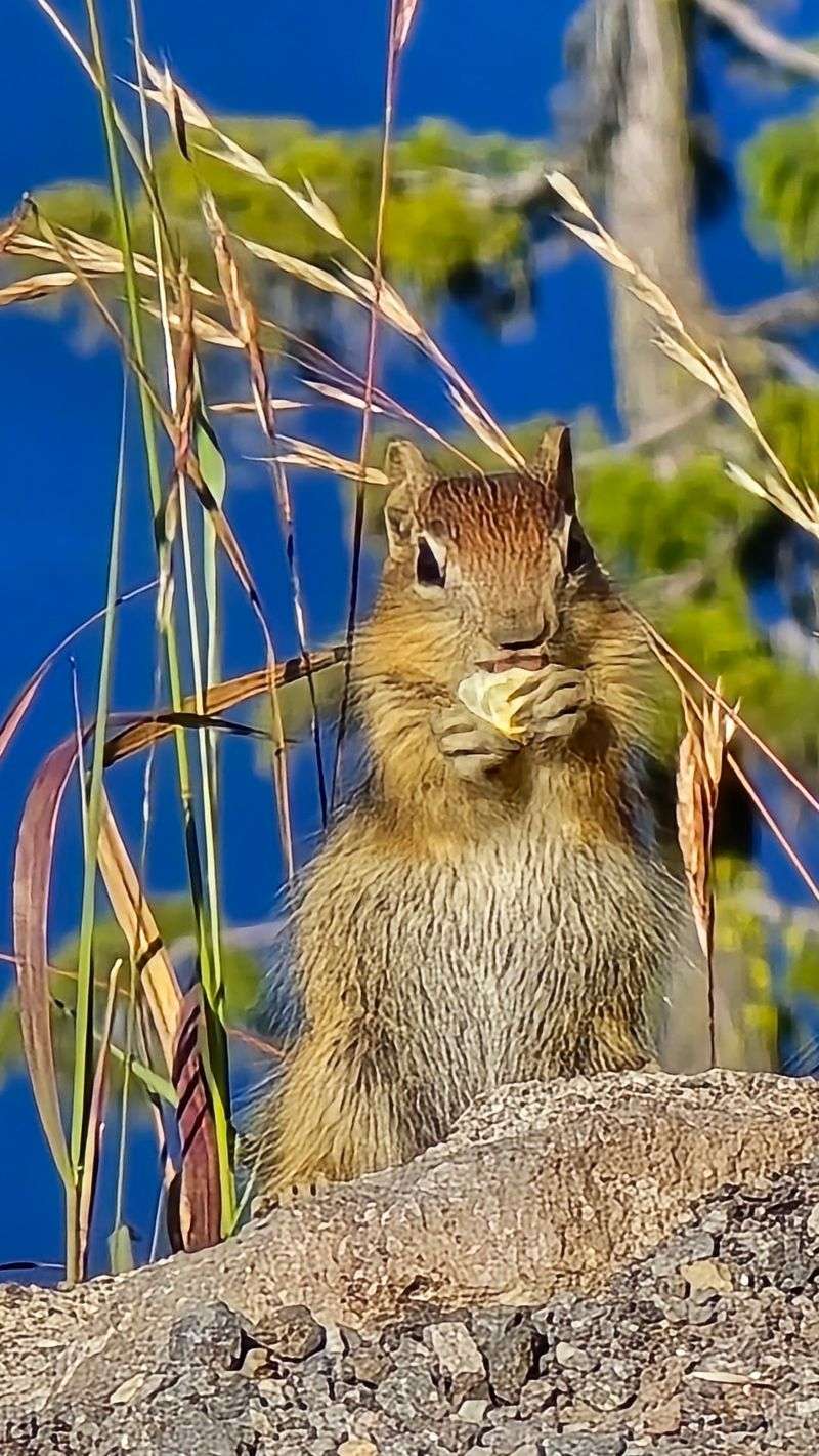 Little Neighbors Along the Path