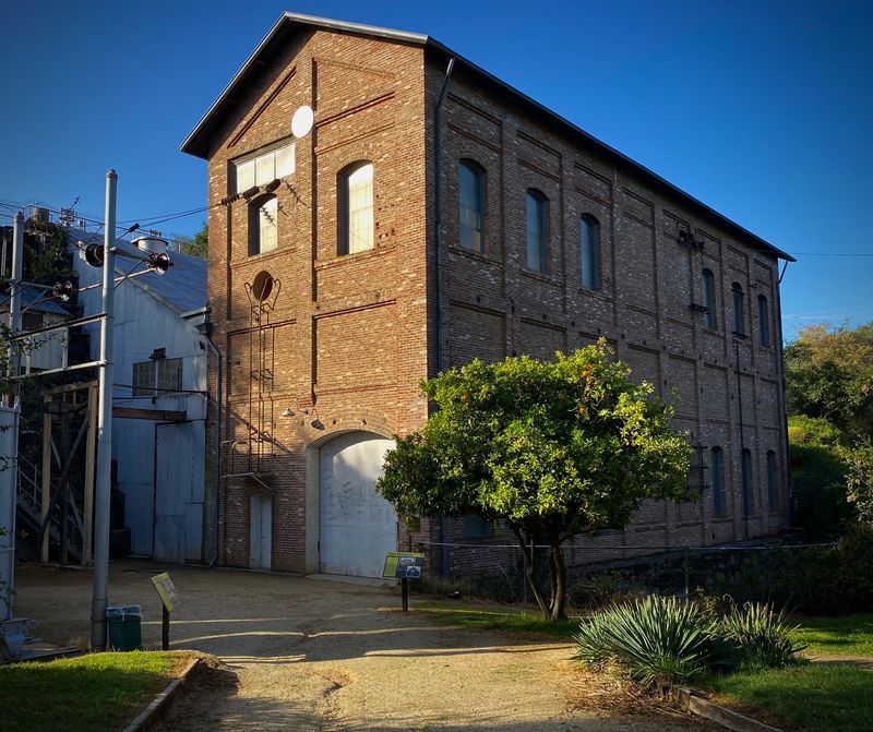 Livermore's Long Bet on the American River