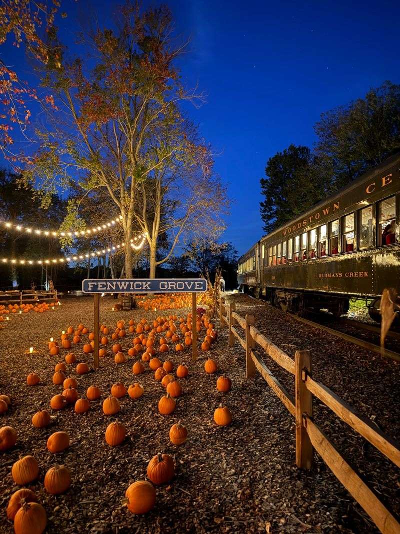 Longer Rides and Seasonal Surprises Longer Rides and Seasonal Surprises