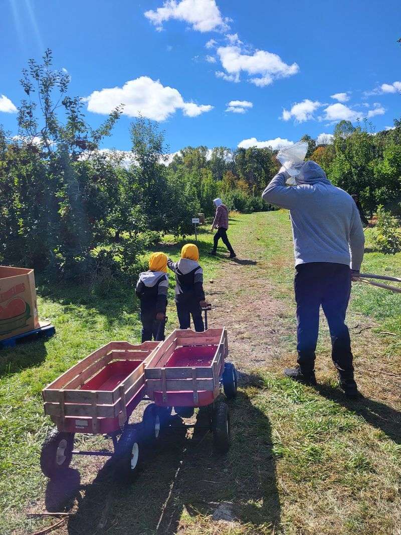 Longmeadow Farm Harvest Festival