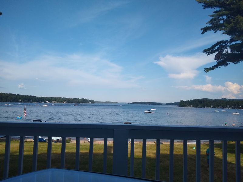 Loons, Eagles, and the Local Wildlife Roll Call