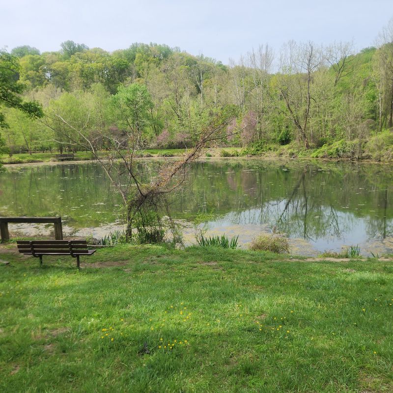 Lost Lake and the Old Iron Works