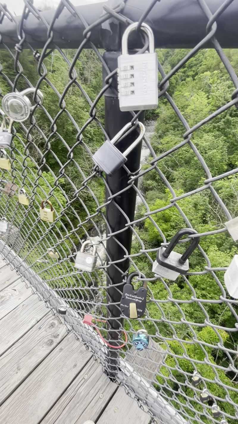 Love Locks on the Bridge Above Love Locks on the Bridge Above