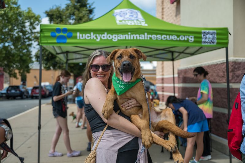 Lucky Dog Animal Rescue Lucky Dog Animal Rescue