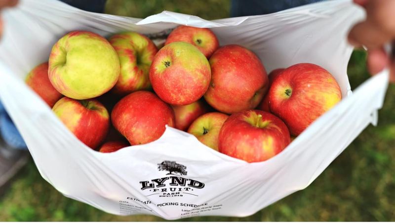 Lynd Fruit Farm (Pataskala, OH)