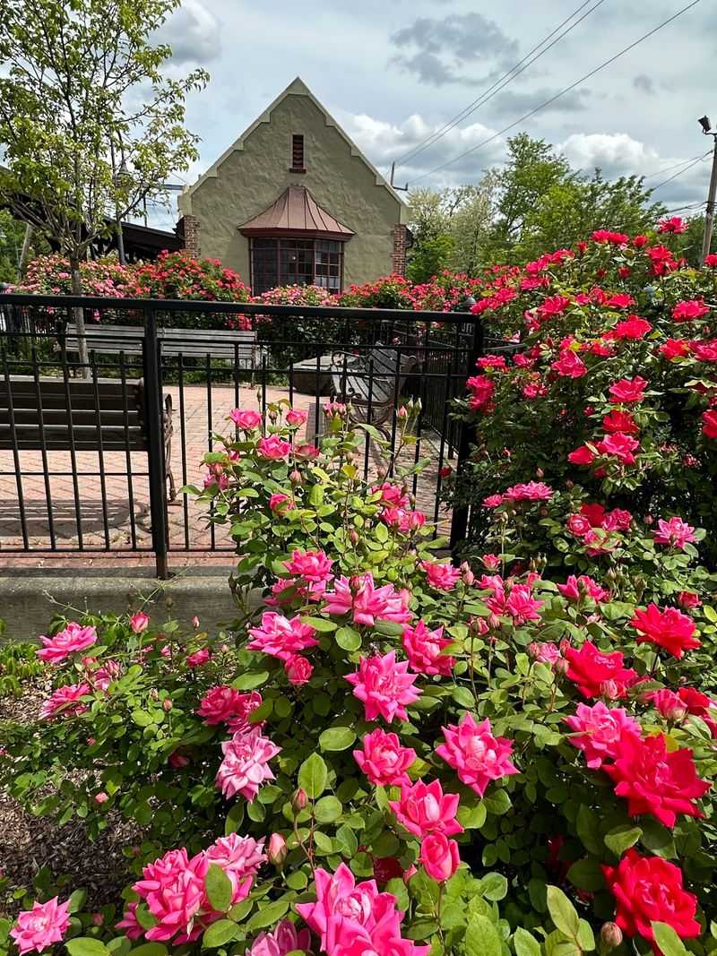 Lyons Train Station, Basking Ridge