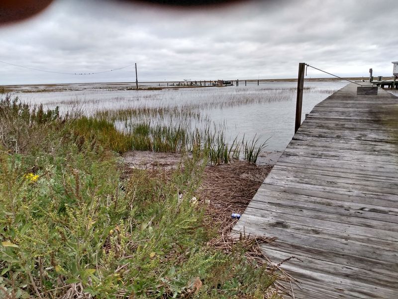 Marine Life Day in Wachapreague
