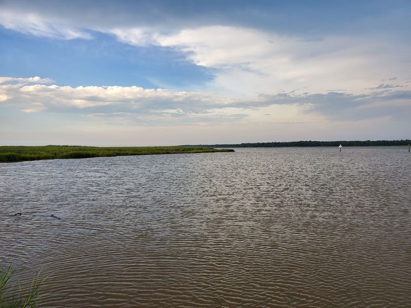 Mayrant's Bluff and the Bay It Was Built to Guard Mayrant's Bluff and the Bay It Was Built to Guard